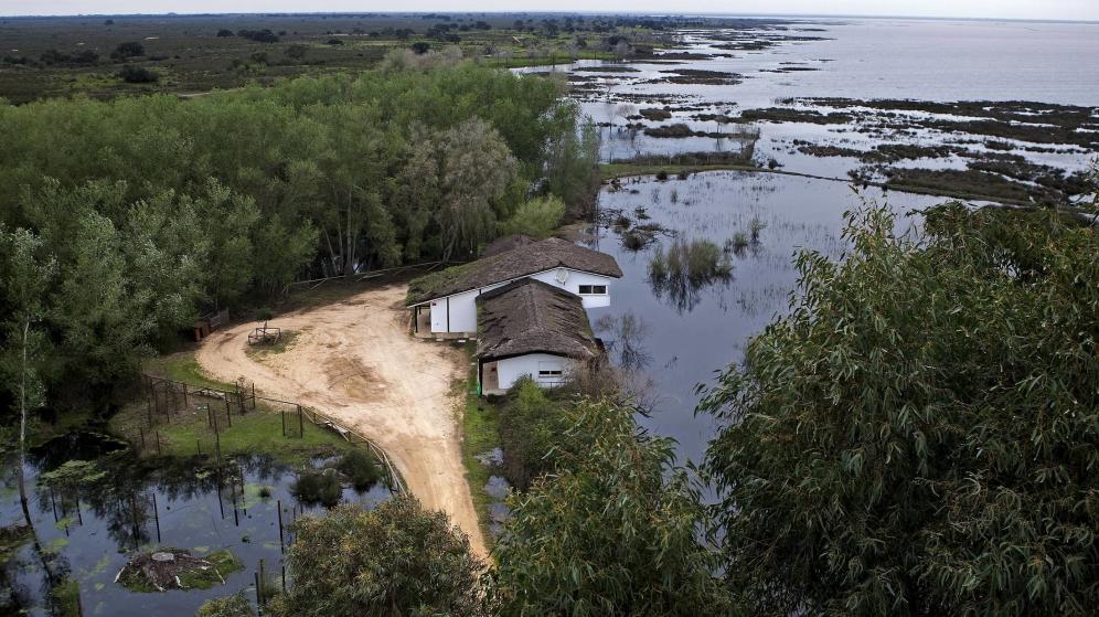 Dragado del Guadalquivir: entre los 15.000 empleos de Sevilla y el peligro para Doñana