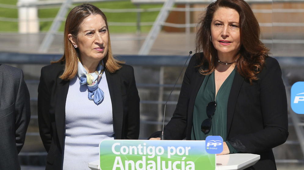 El TSJA reprueba la política urbanística de la exdelegada del Gobierno en Andalucía