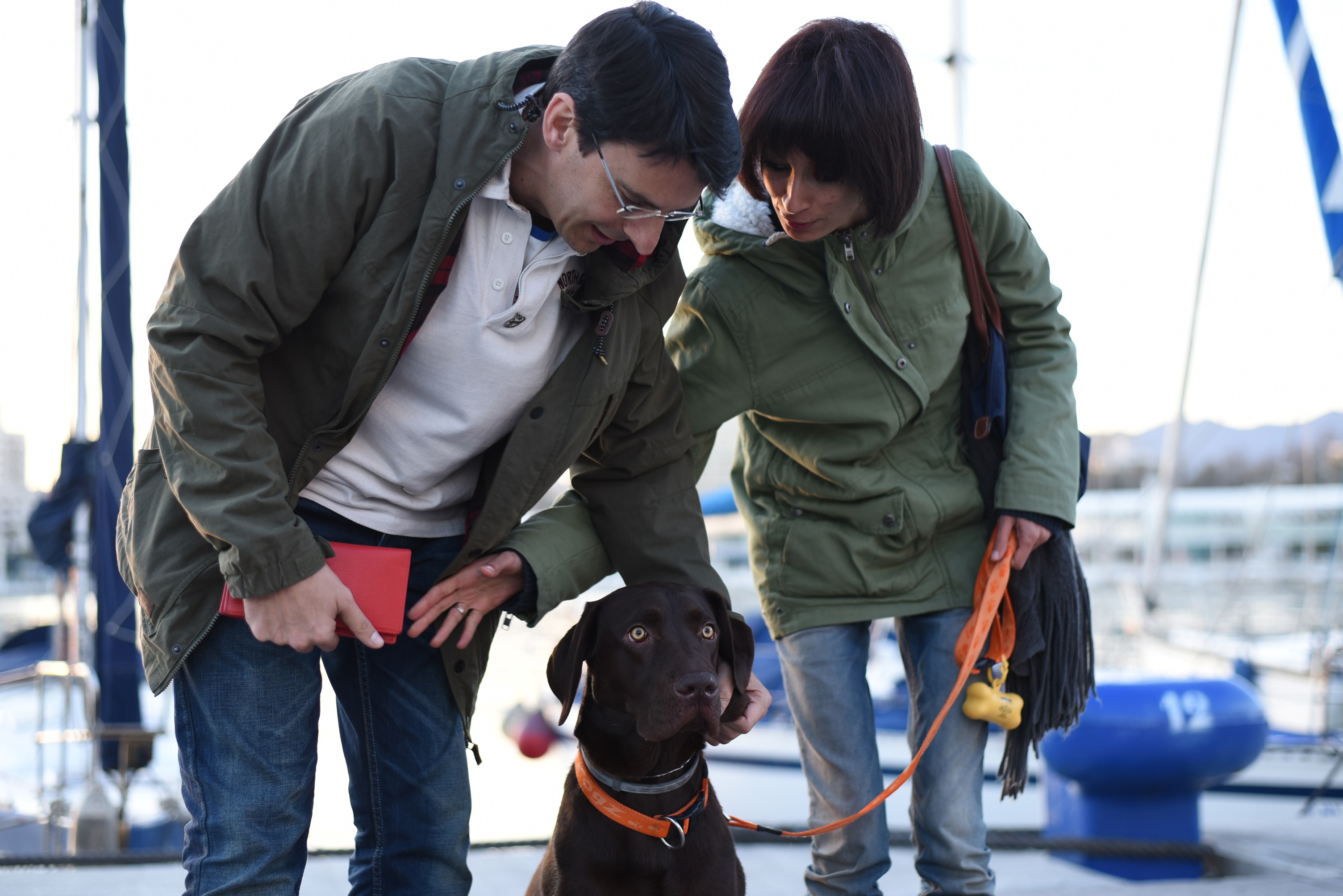 Una medalla para Nanook, el perro labrador de Málaga